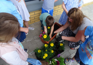 63 Dzieci sadzą kwiaty